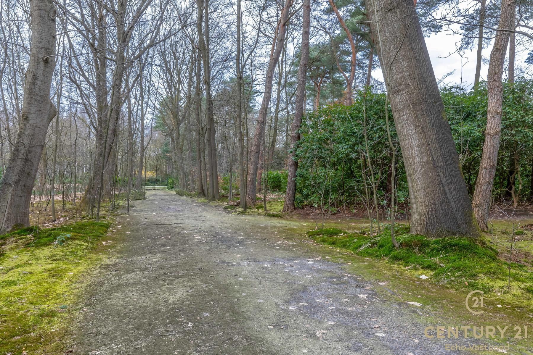 Unieke royale villa op parkdomein van ca 11.600m² foto 27