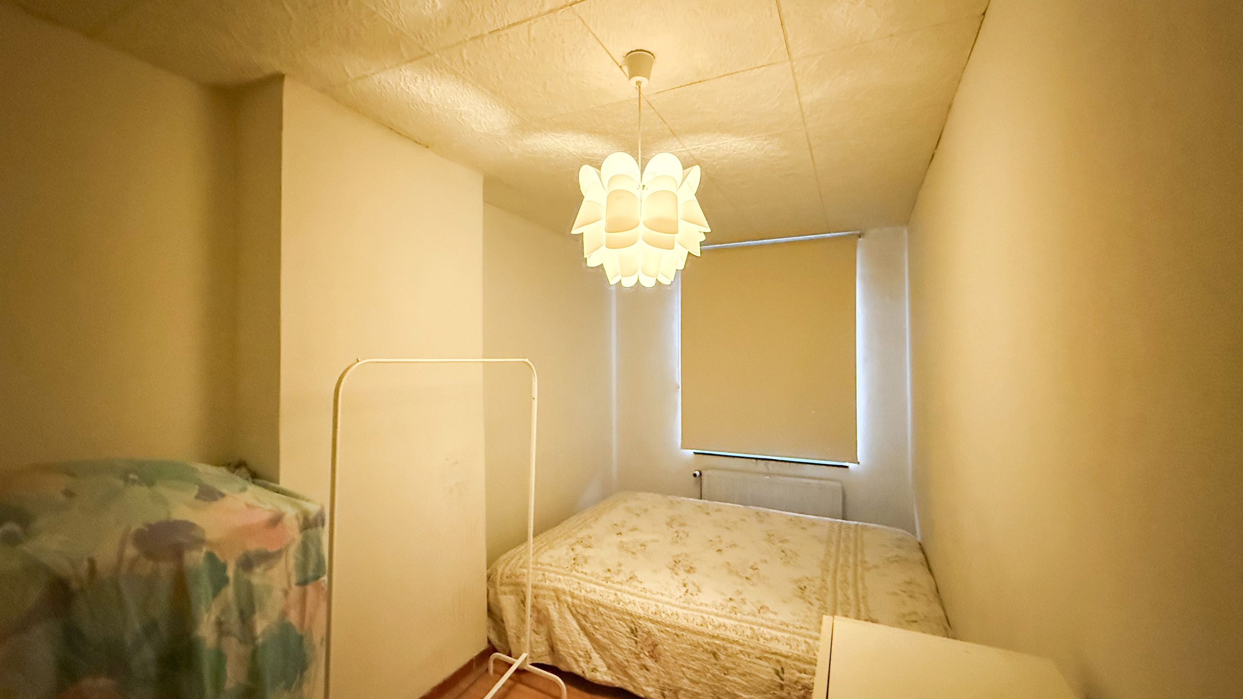 Handelspand met woonst 3slpk, te koop in HZ foto 28