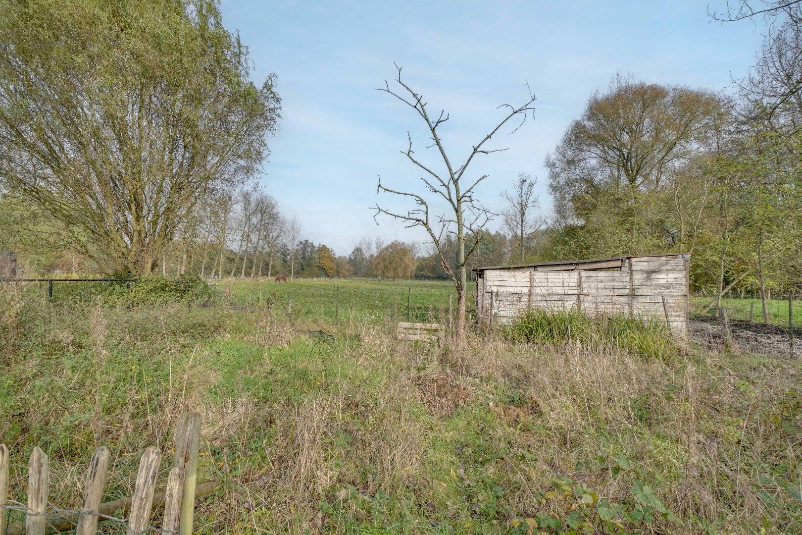 TE VERNIEUWEN GEZINSWONING OP BREED PERCEEL VAN 15 ARE MET ZICHT OP GROEN ! foto 25