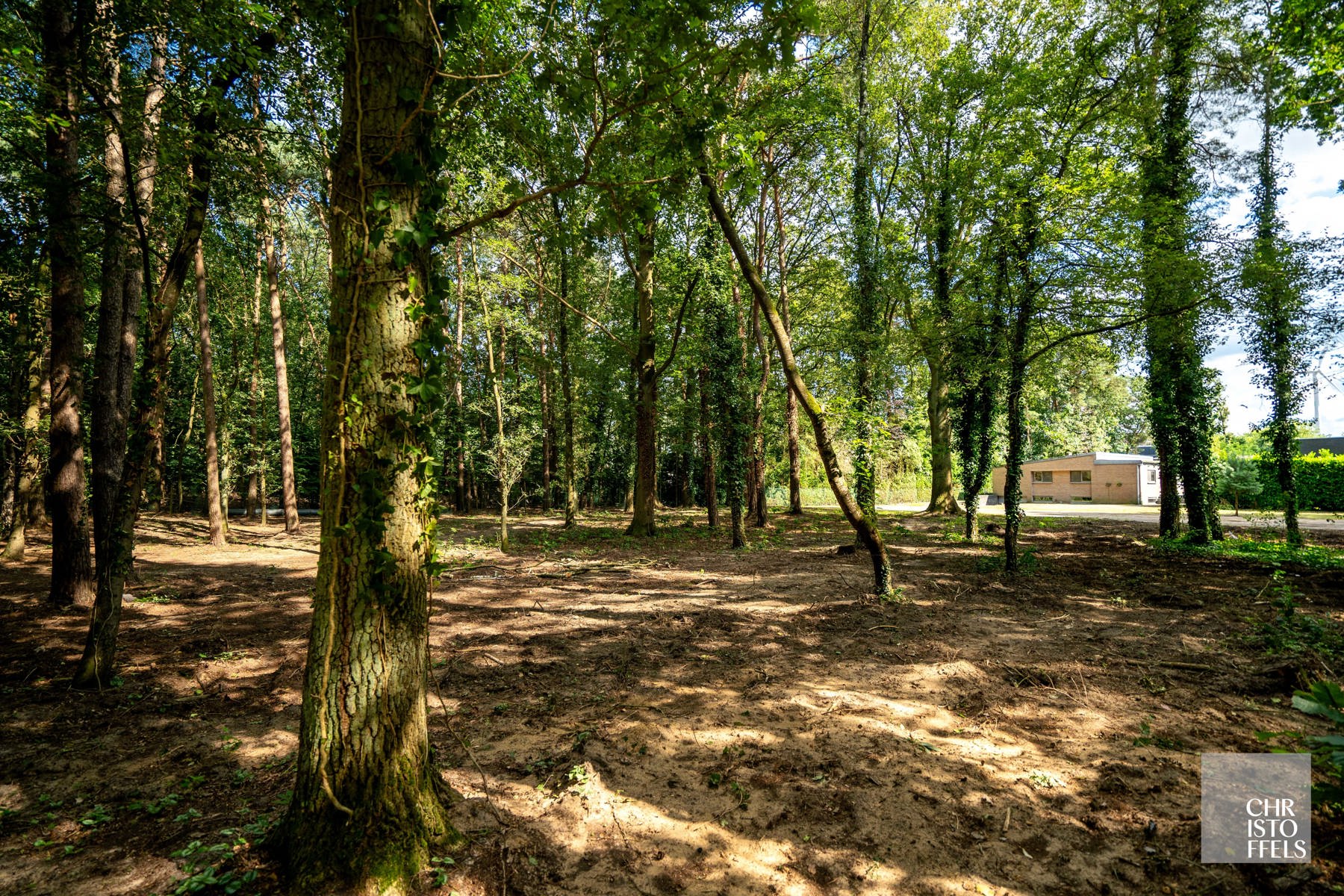 Deels gerenoveerde laagbouwvilla, residentieel gelegen in de bossen op een uitgestrekt perceel van 3.981m² foto 3