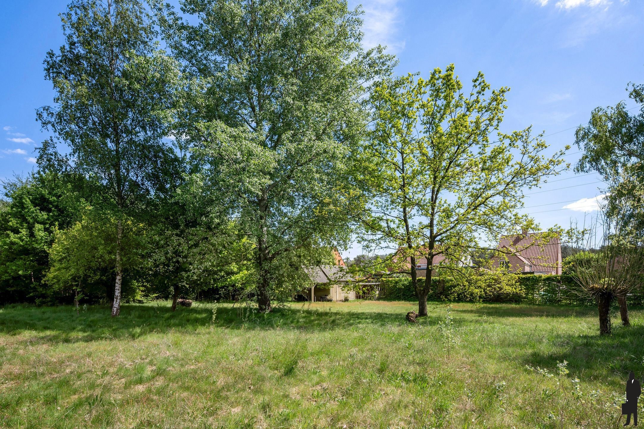 Charmante woning op riant perceel met bos te Lichtaart. foto 23