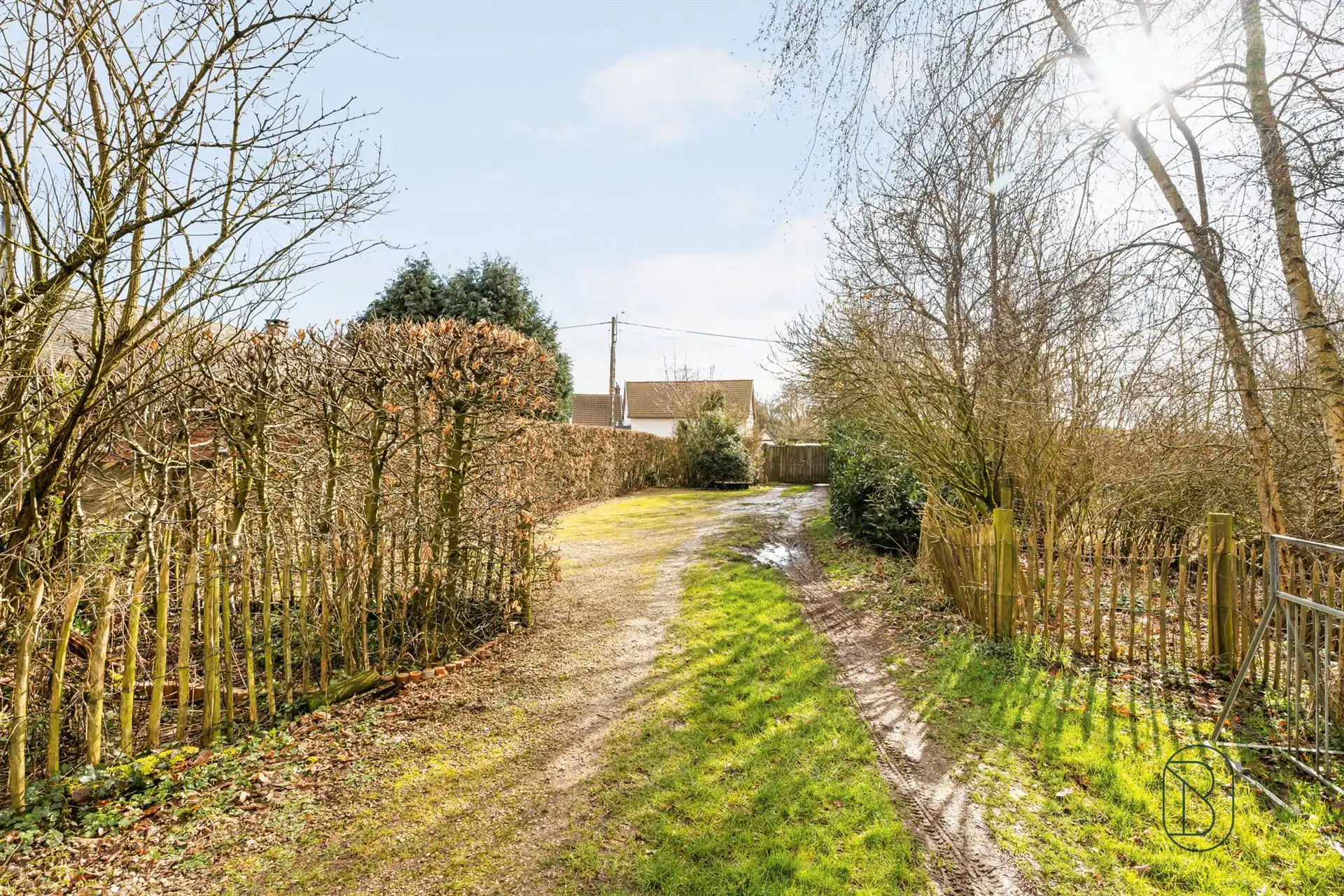 Hoeve met handelsruimte en woning, ideaal gelegen! foto 3