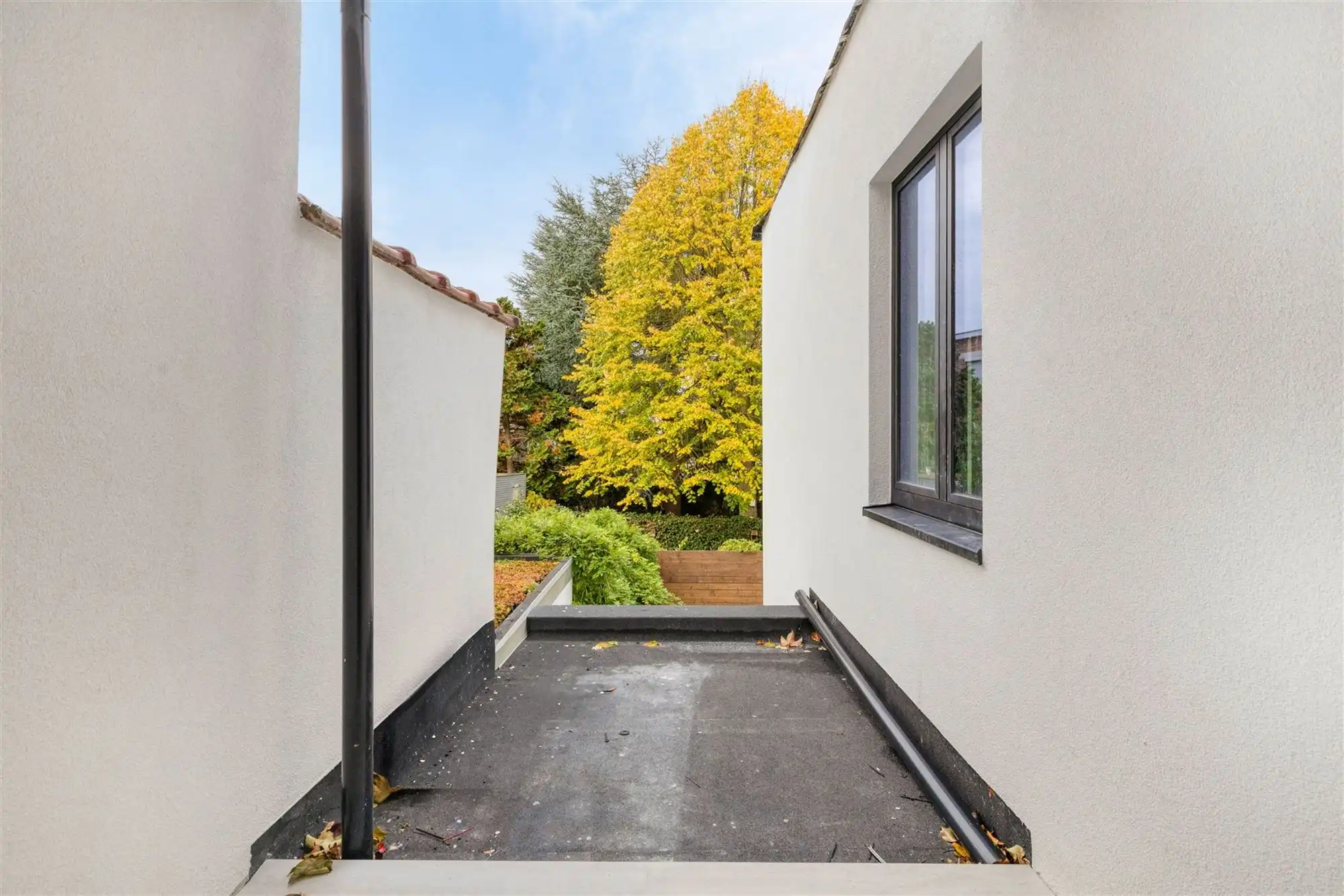 Prachtig gerenoveerd huis met tuin en 4 slaapkamers centrum Mortsel foto 17