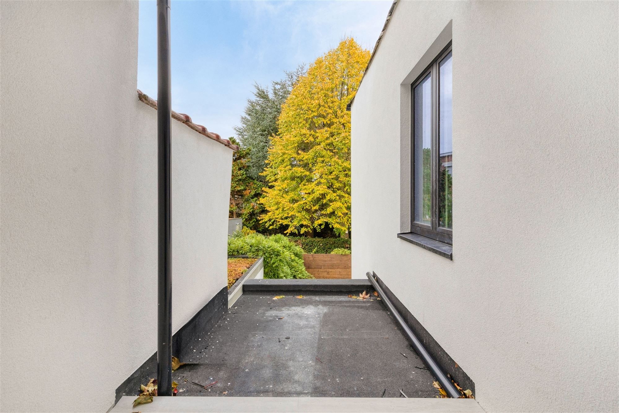 Prachtig gerenoveerd huis met tuin en 4 slaapkamers centrum Mortsel foto 17