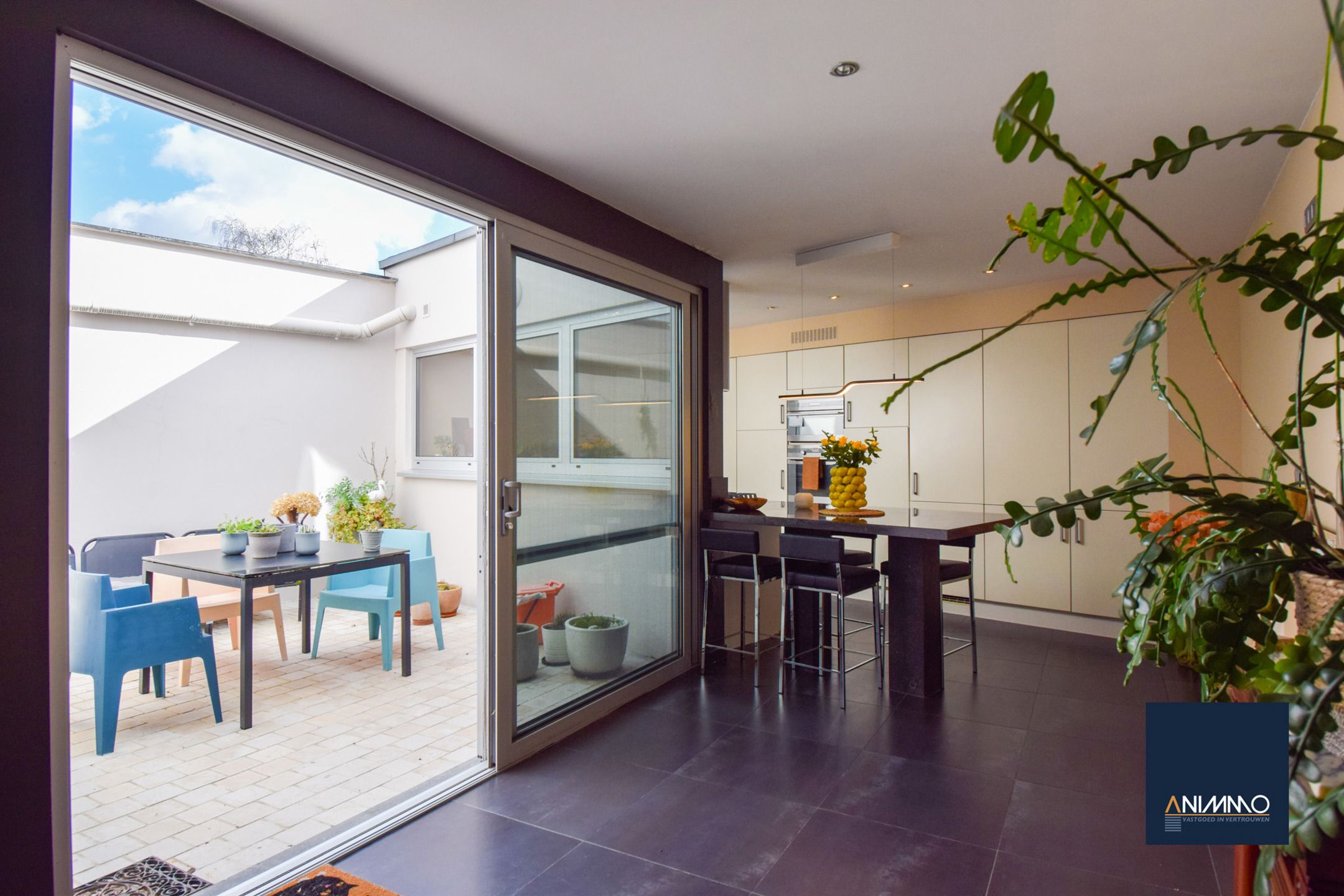 Huis te koop foto 9