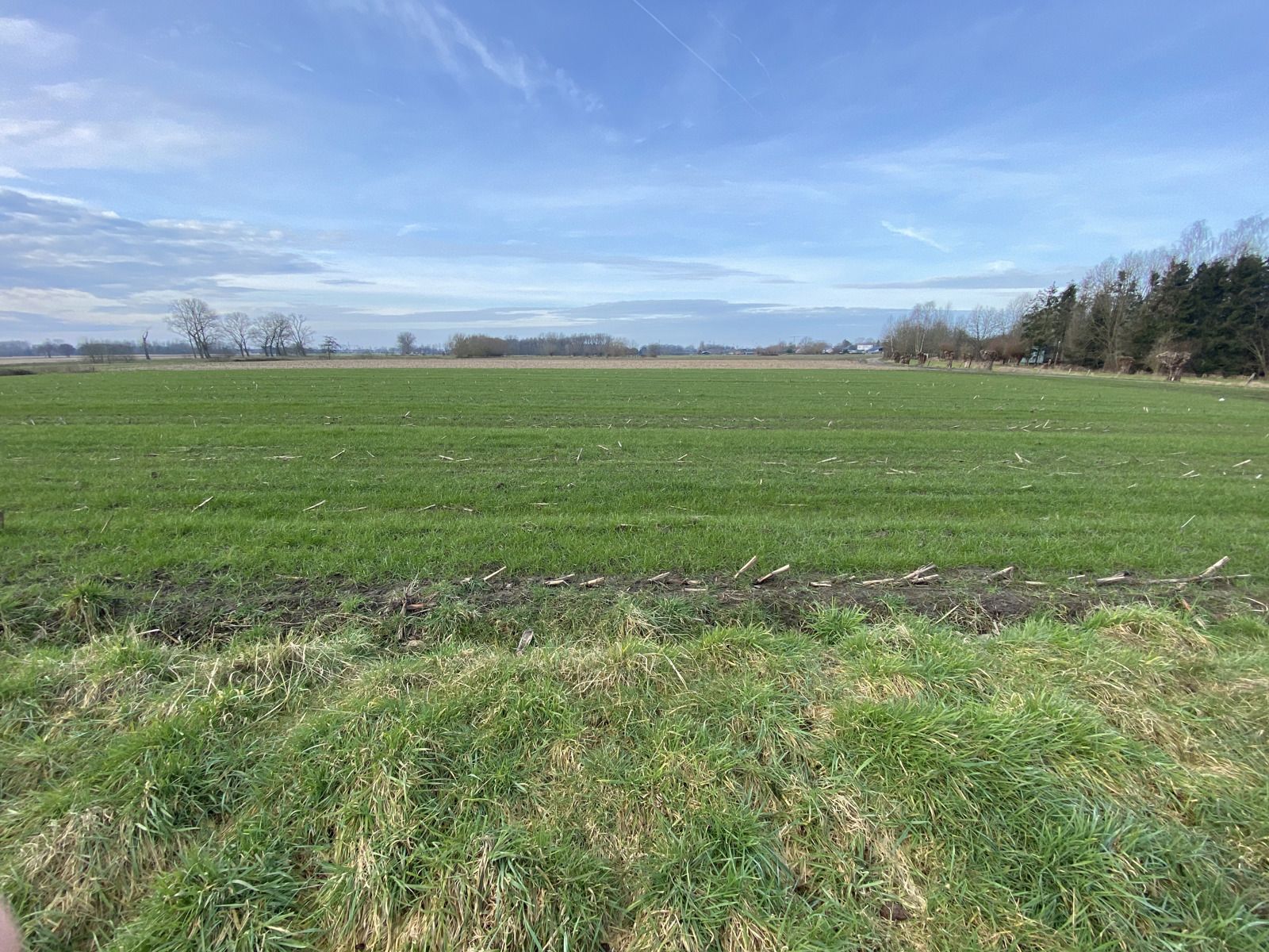Opdorp: 2 prachtige & landschappelijke bouwgronden  foto 6