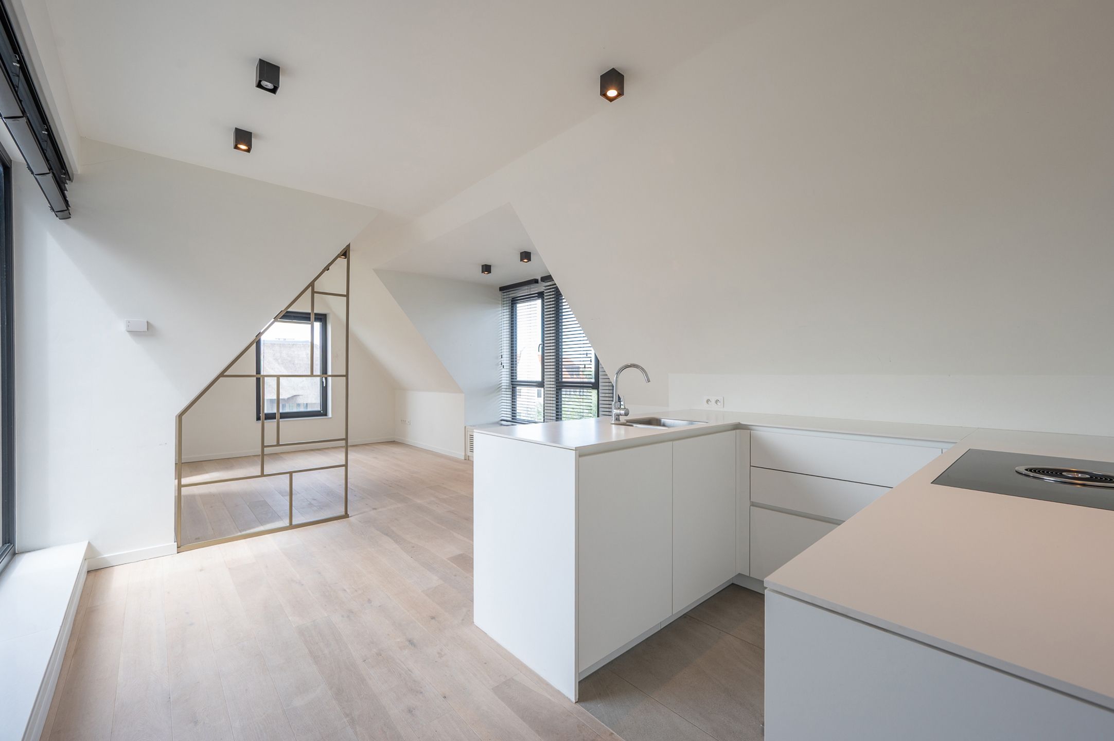 Stijlvol PENTHOUSE met 2 slaapkamers en terras - DUINENWATER foto 4