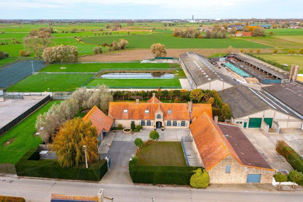 Groot vleesveebedrijf te koop te Diksmuide foto 8