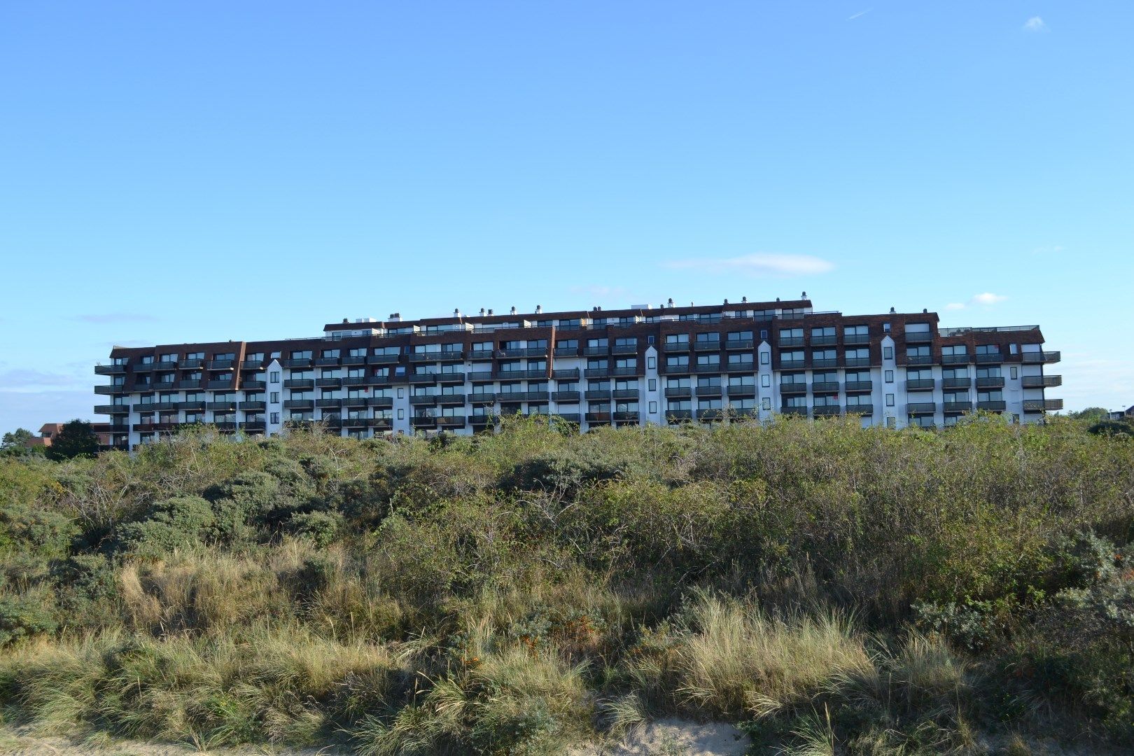 Gelijkvloers modern appartement met tuintje op enkele stappen van de zee. foto 2