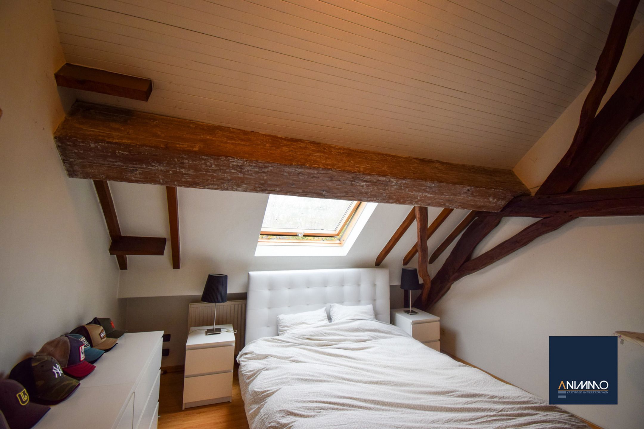 Boerderij te koop foto 13