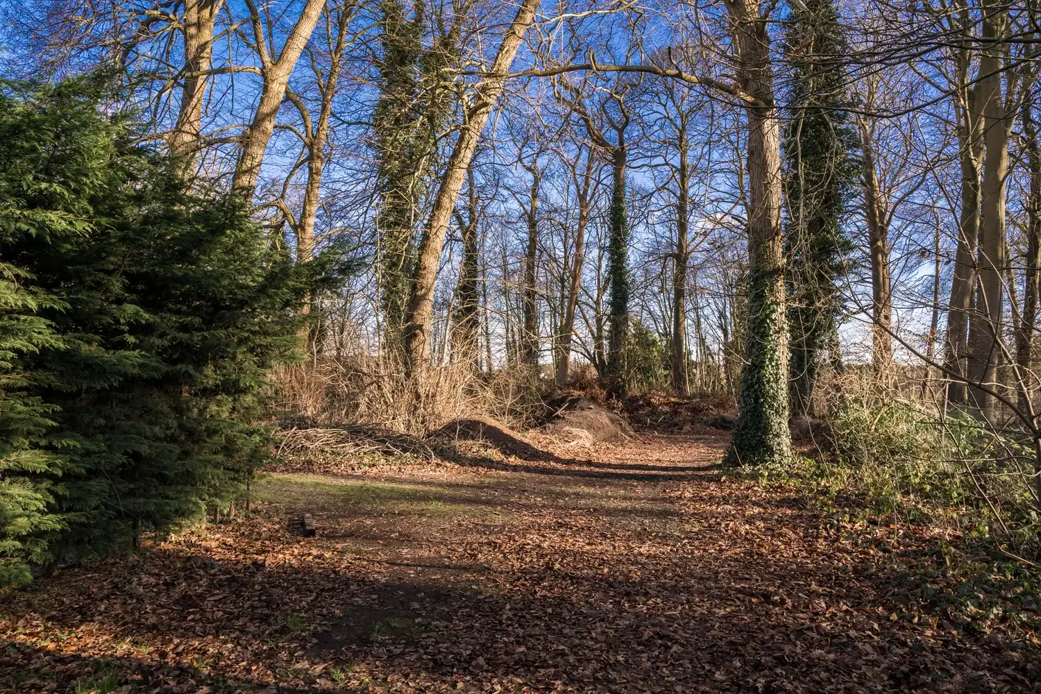 Exclusieve bouwgrond aan de Lembeekse Bossen! foto 2