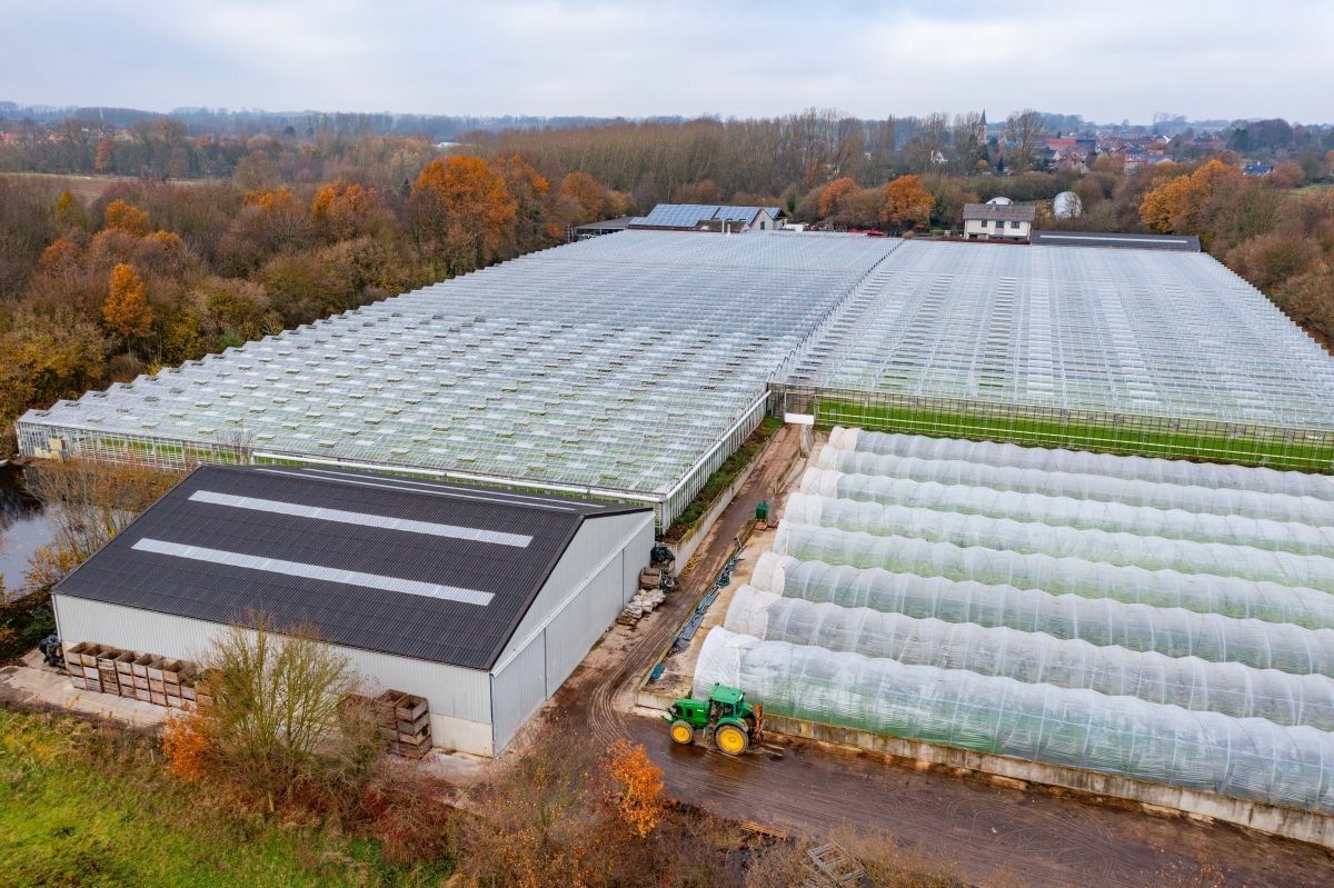 Groot serrebedrijf te koop te Lennik foto 4