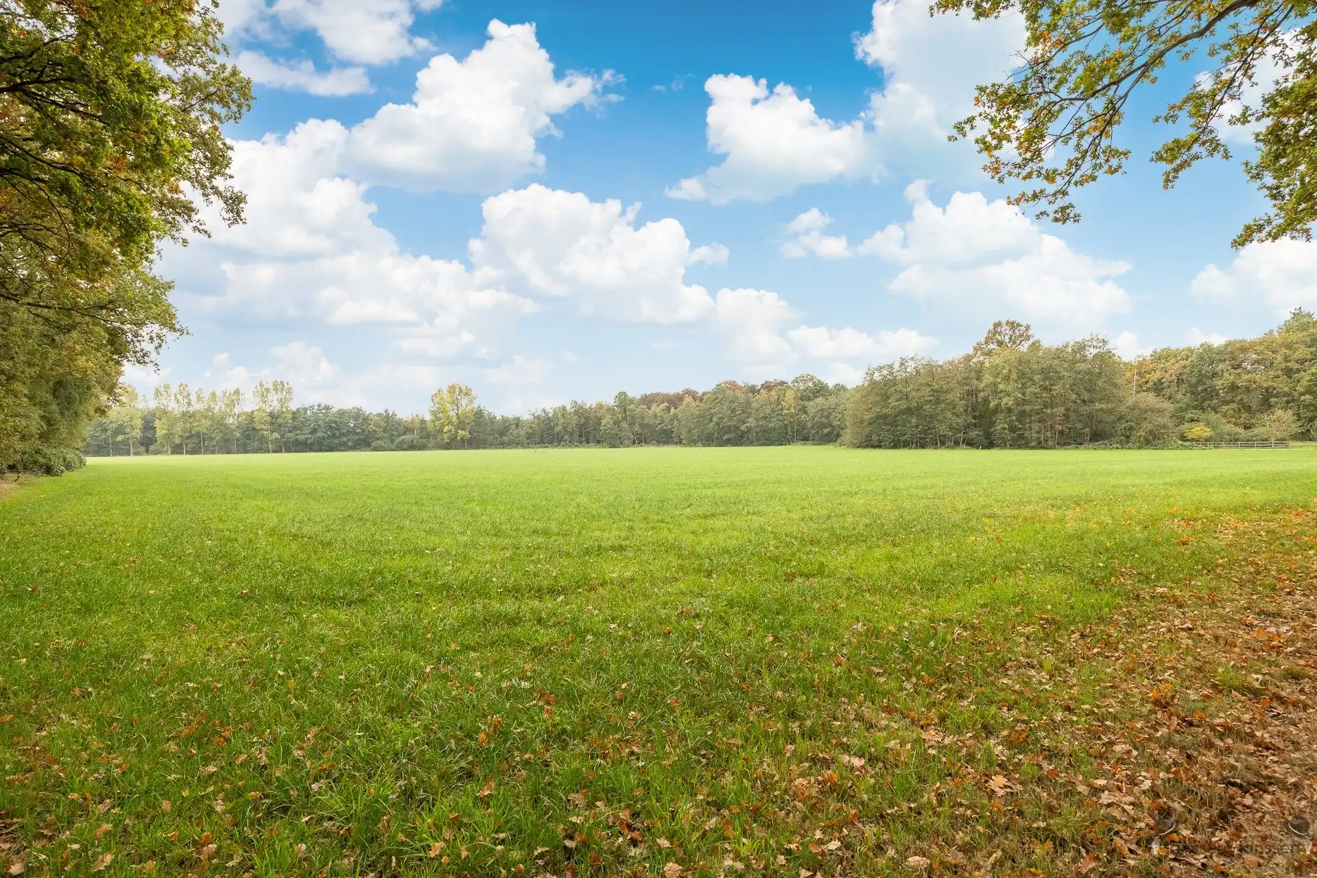 domein van ca.20 ha met 2 woningen foto 22