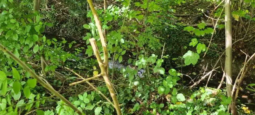 Mooi BOUWPERCEEL op 16 are 48 ca, straatbreedte 25 meter foto 8