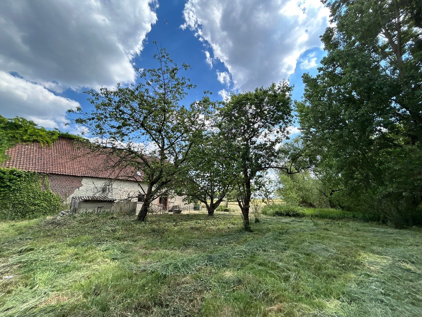 Hof Candriesche – Droomhoeve vol karakter in hartje natuur foto 14