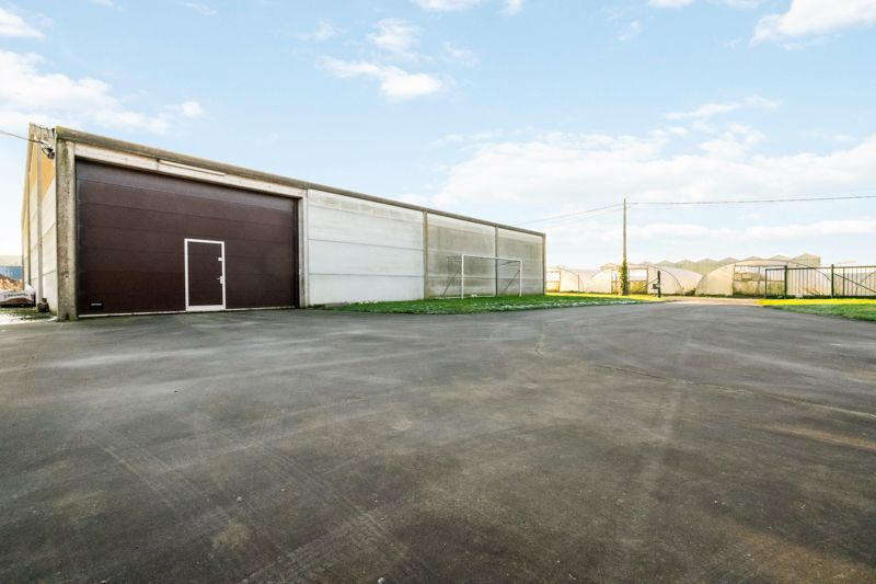 Staden. RUIME LANDELIJKE VILLA MET POTENTIEEL + loods van 435 m2 + loods van 515 m2 . Totaal perceel met tuinen en vijver = +/- 9000m2. Ideaal opbrengsteigendom en eigen gebruik. foto 2