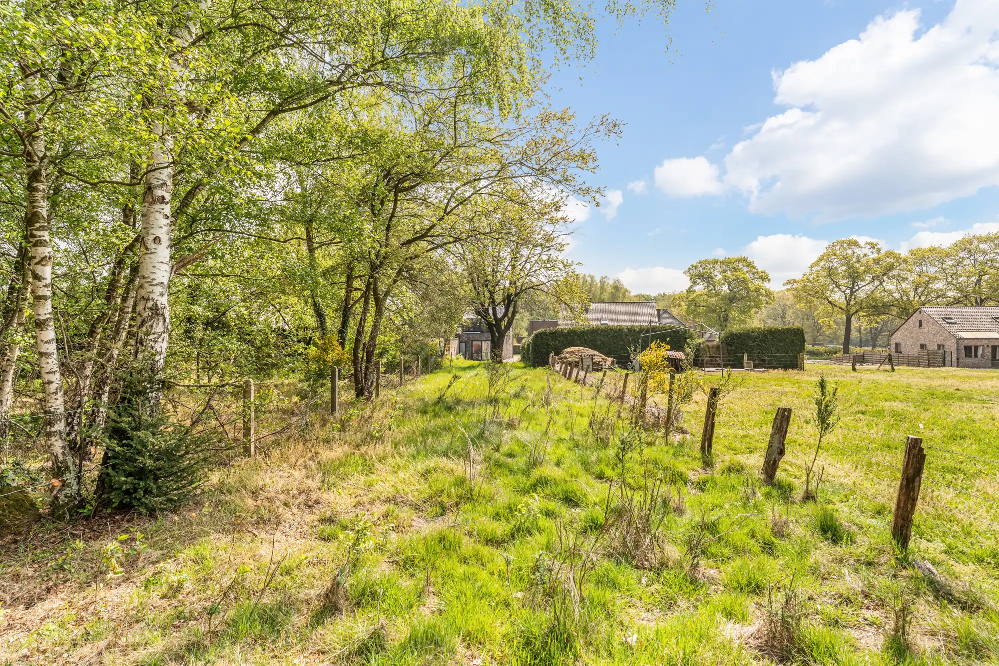 Huis te koop foto 18