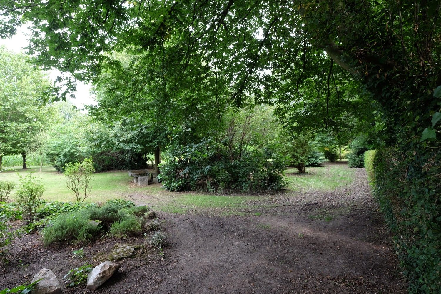 Uniek perceel met een charmante vakantiewoning midden in de natuur omgeven door een uitzonderlijke collectie van prachtige bomen. foto 19