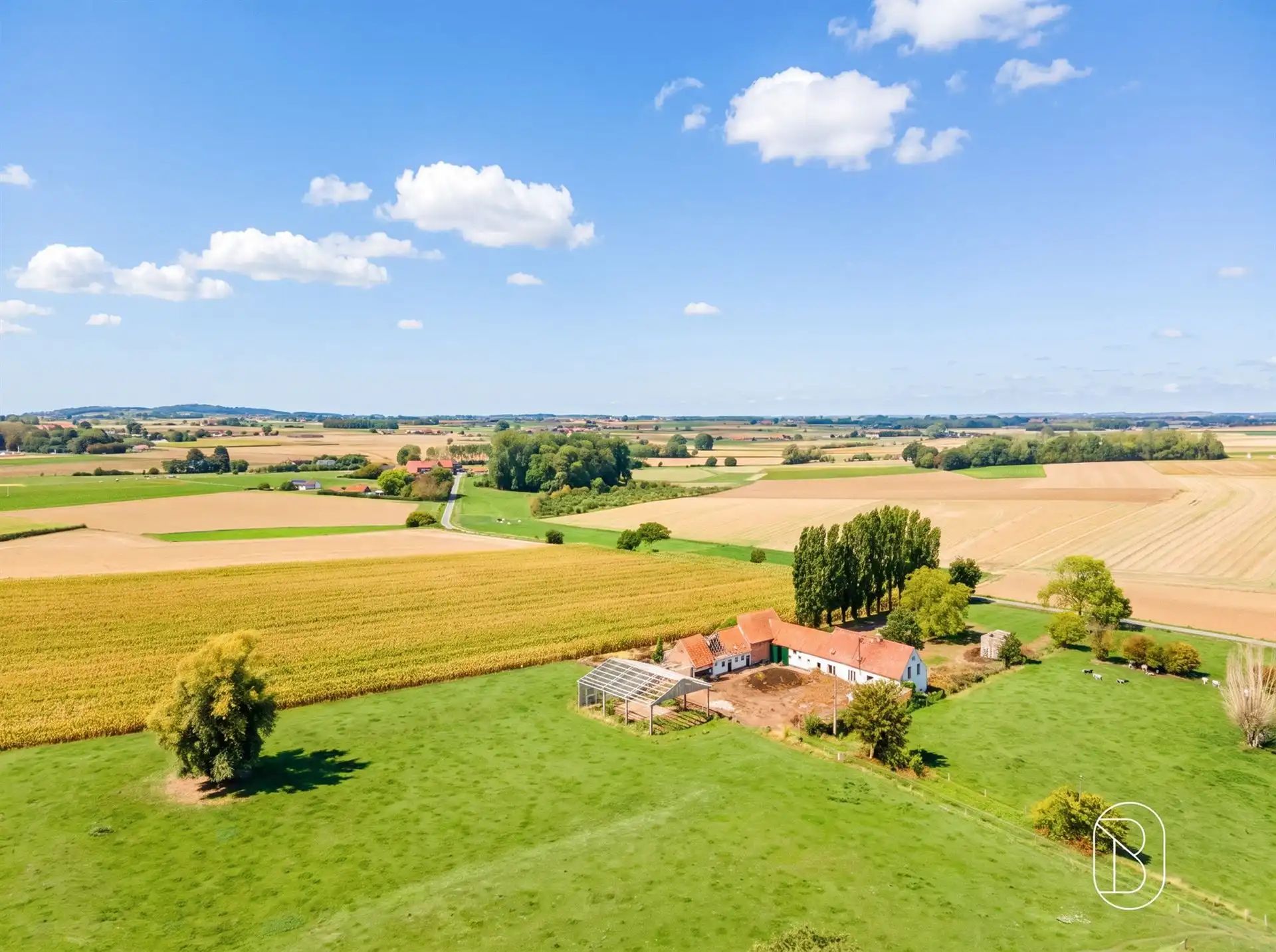 Uniek gelegen (af te breken) hoeve op maar liefst 8.282 m² foto 15