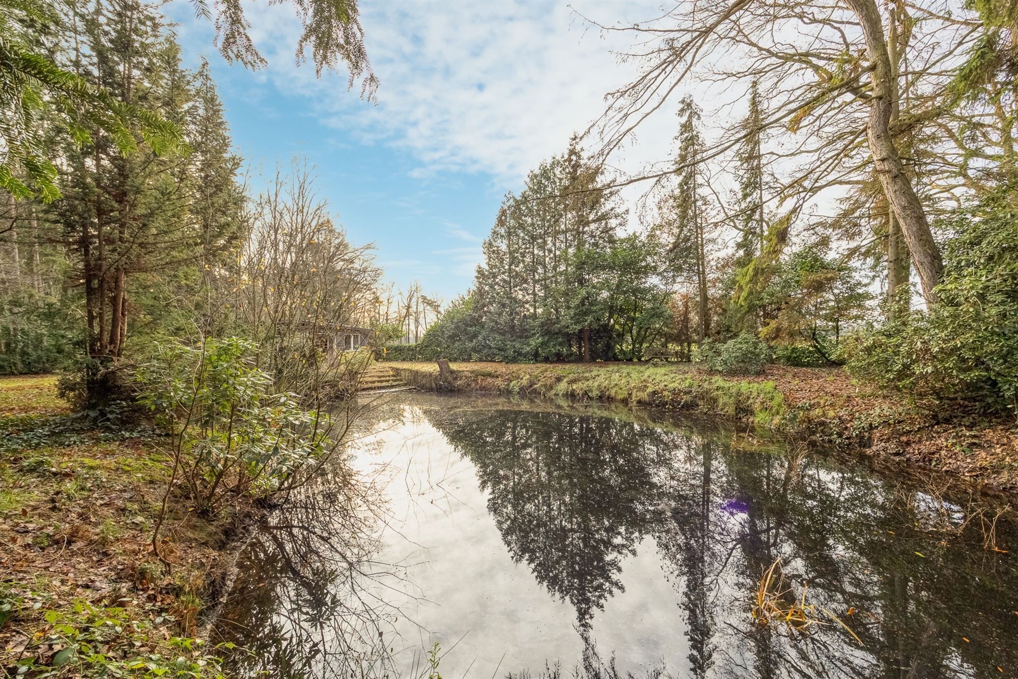 Charmante chalet met privatieve vijver op idyllisch perceel foto 24