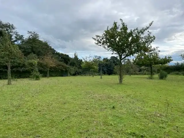 Bouwland/Boomgaard Laag/Bos foto 16