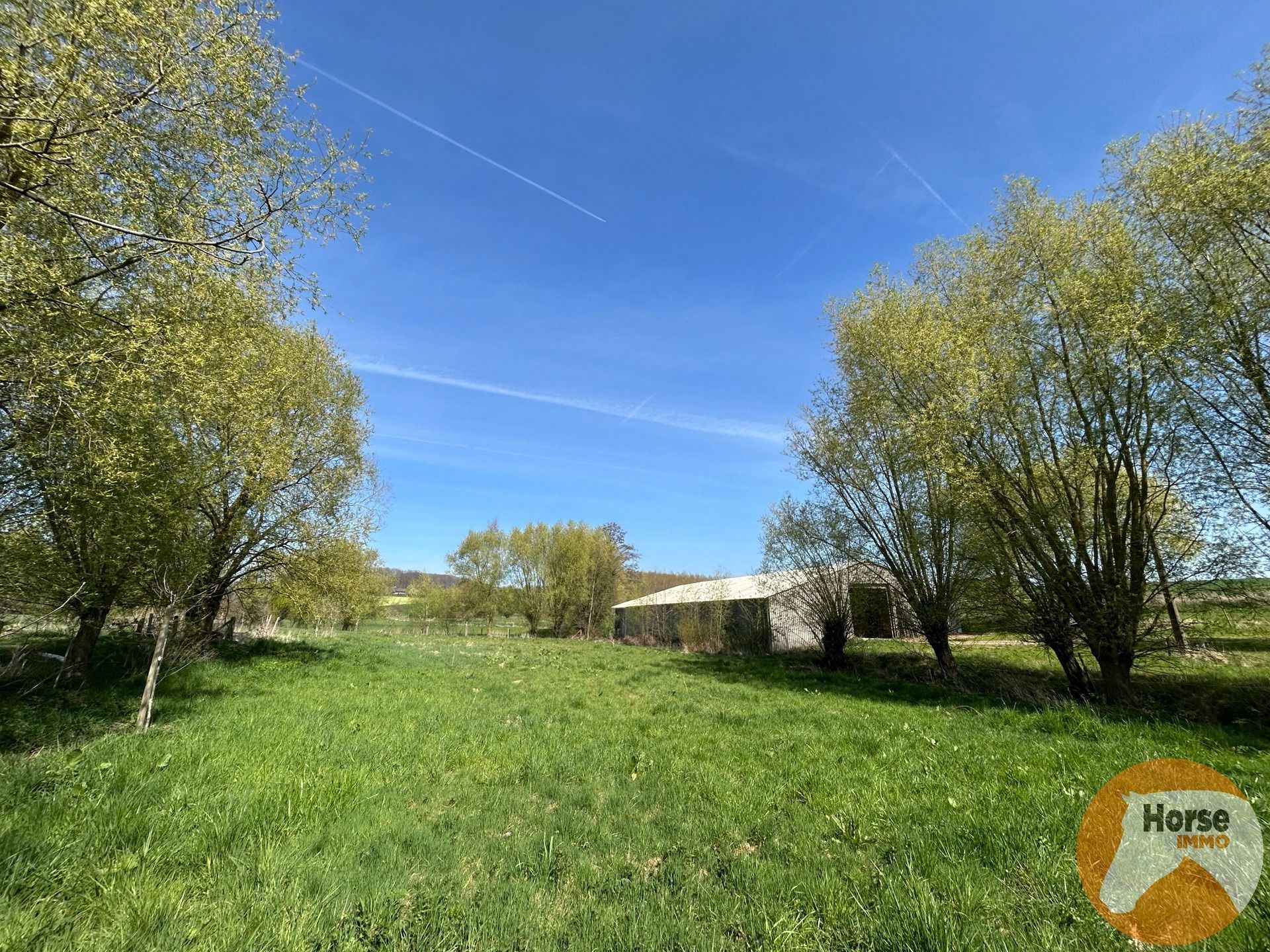 TOLLEMBEEK - Weide met loods op rustige locatie foto 10