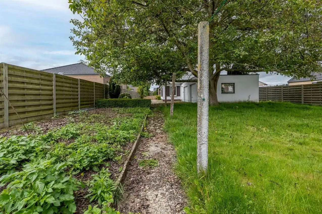 Gelijkvloers, toplocatie, prima indeling, label D, prachtige boom foto 6
