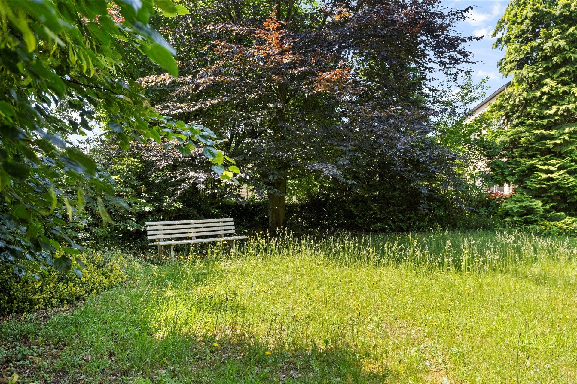 Bouwgrond van +/- 720m² - te verkavelen foto 5
