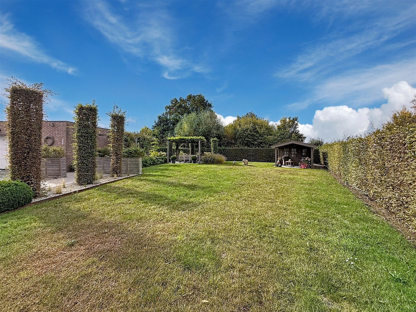 Instapklare woning, 2 slpks + inrichtb. zolder, tuin, 10a 85ca foto 7