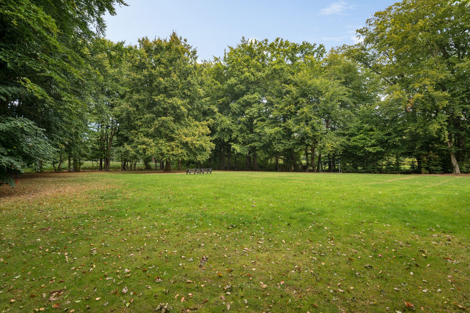 Unieke pastoriewoning in parktuin met uniek uitzicht foto 3
