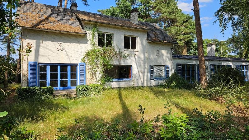 Hoofdfoto van de publicatie: Rustig en gunstig gelegen te renoveren villa van 375m² op 48 are