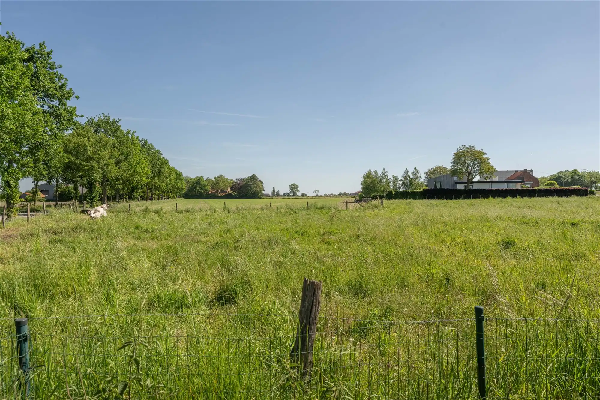 Vrijstaande woning op 1.258 m² foto 2