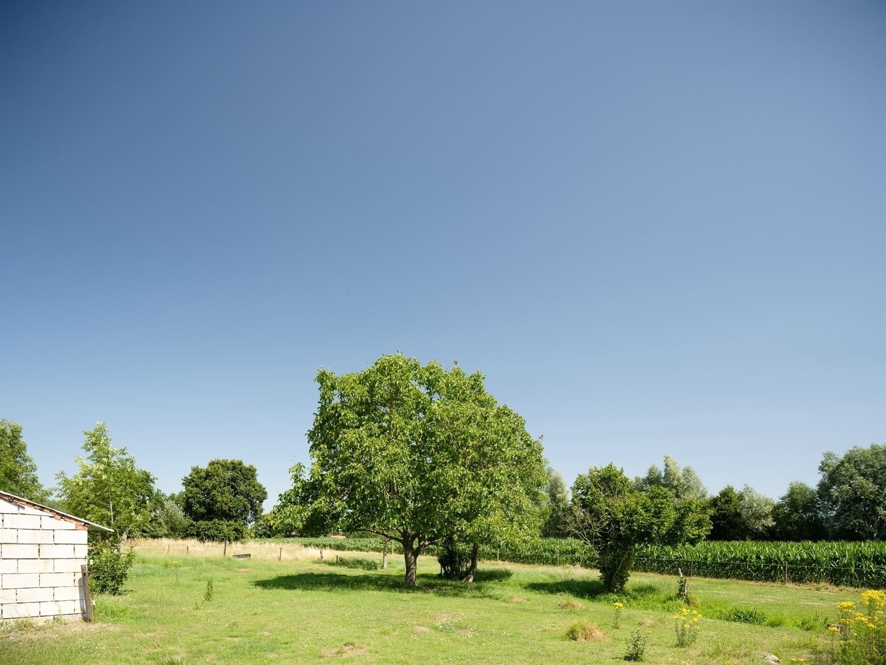 Hoeve voor landbouw foto 3