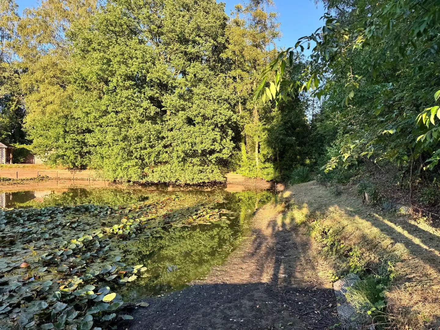 Vakantieverblijf met grote privé visvijver te Balen  foto 24