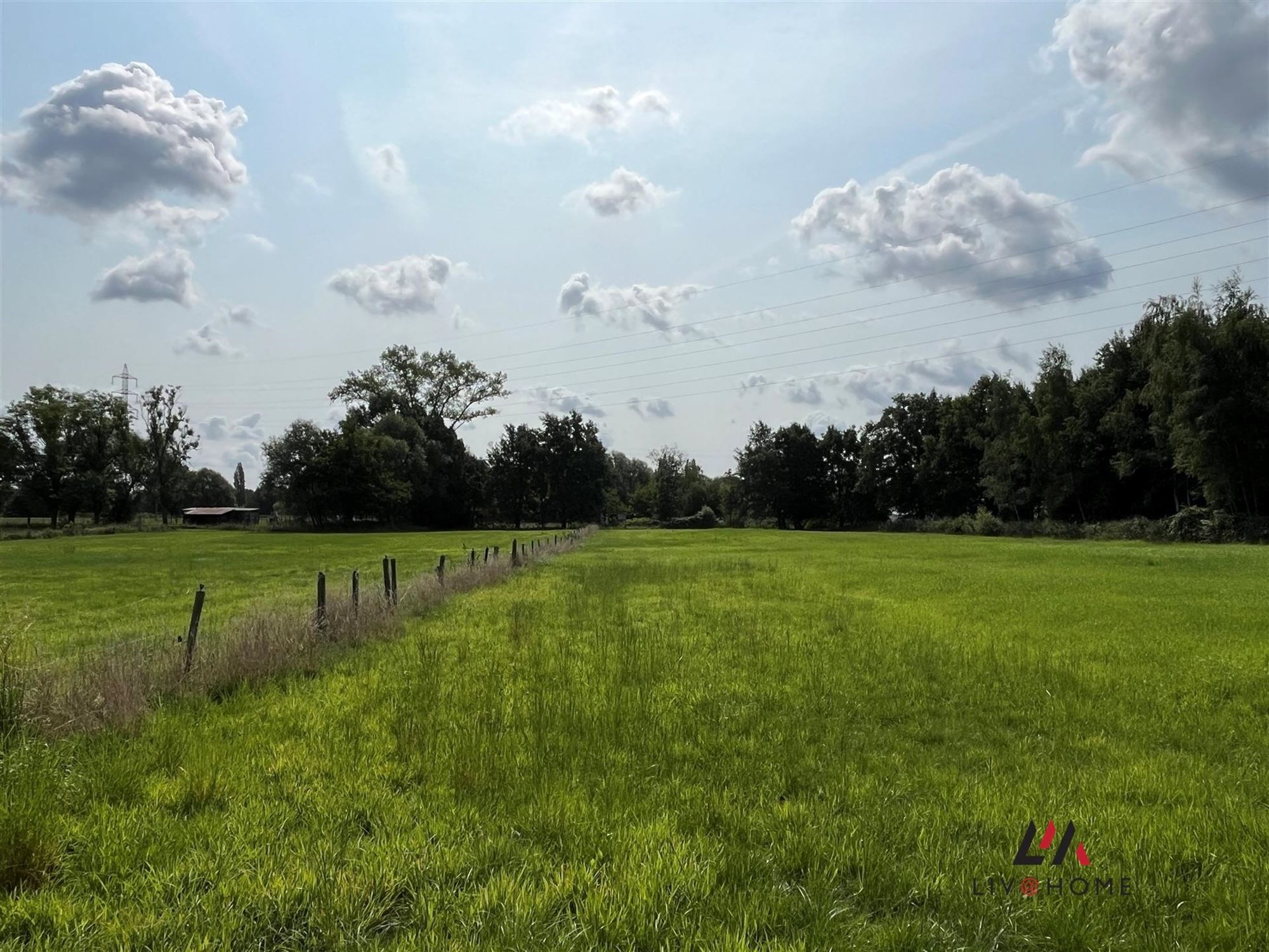 Boerderij met unieke ligging te Putte  foto 14