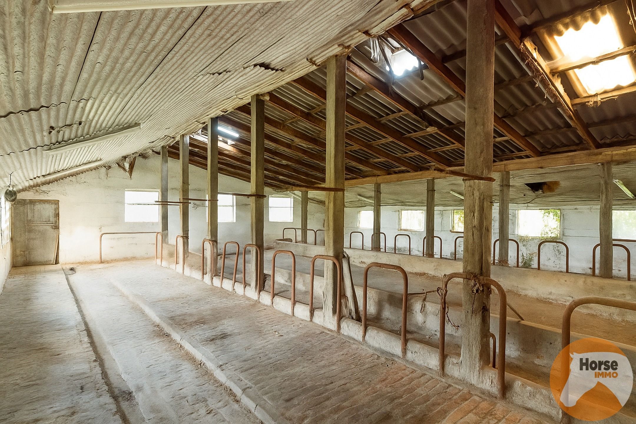 ASSE - Te renoveren hoeve met ruime schuur op 1,85 ha foto 5