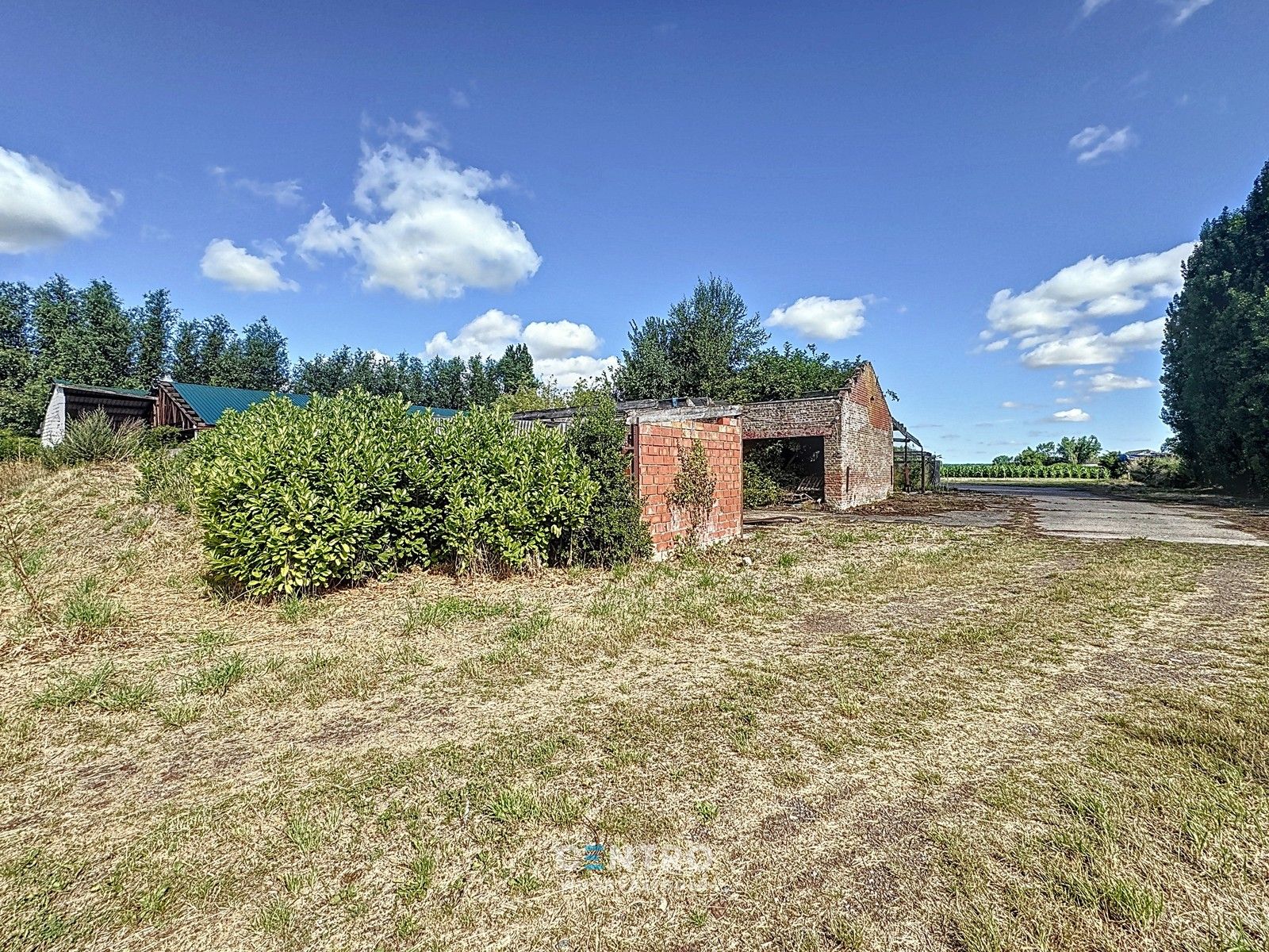 Te renoveren hoeve te Damme op circa 6.850m2! foto 4