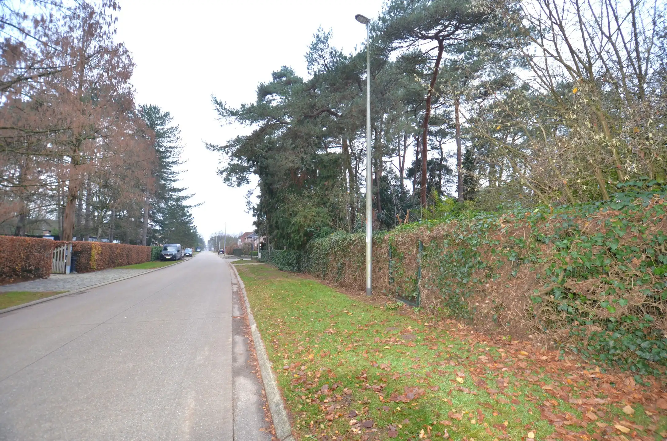 Bouwgrond voor een OB foto 3