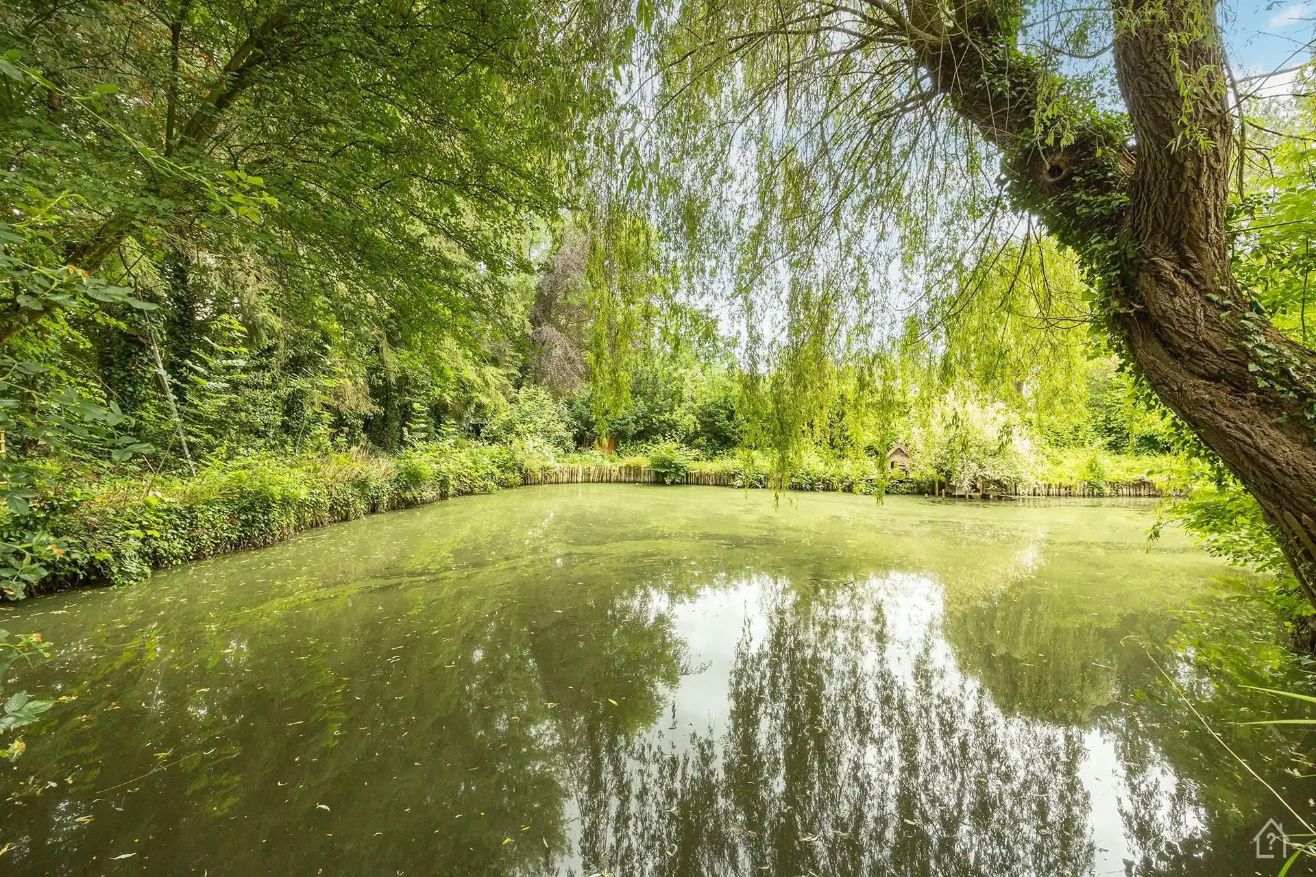 Vakantiechalet op prive perceel met idylische eigen vijver foto 16