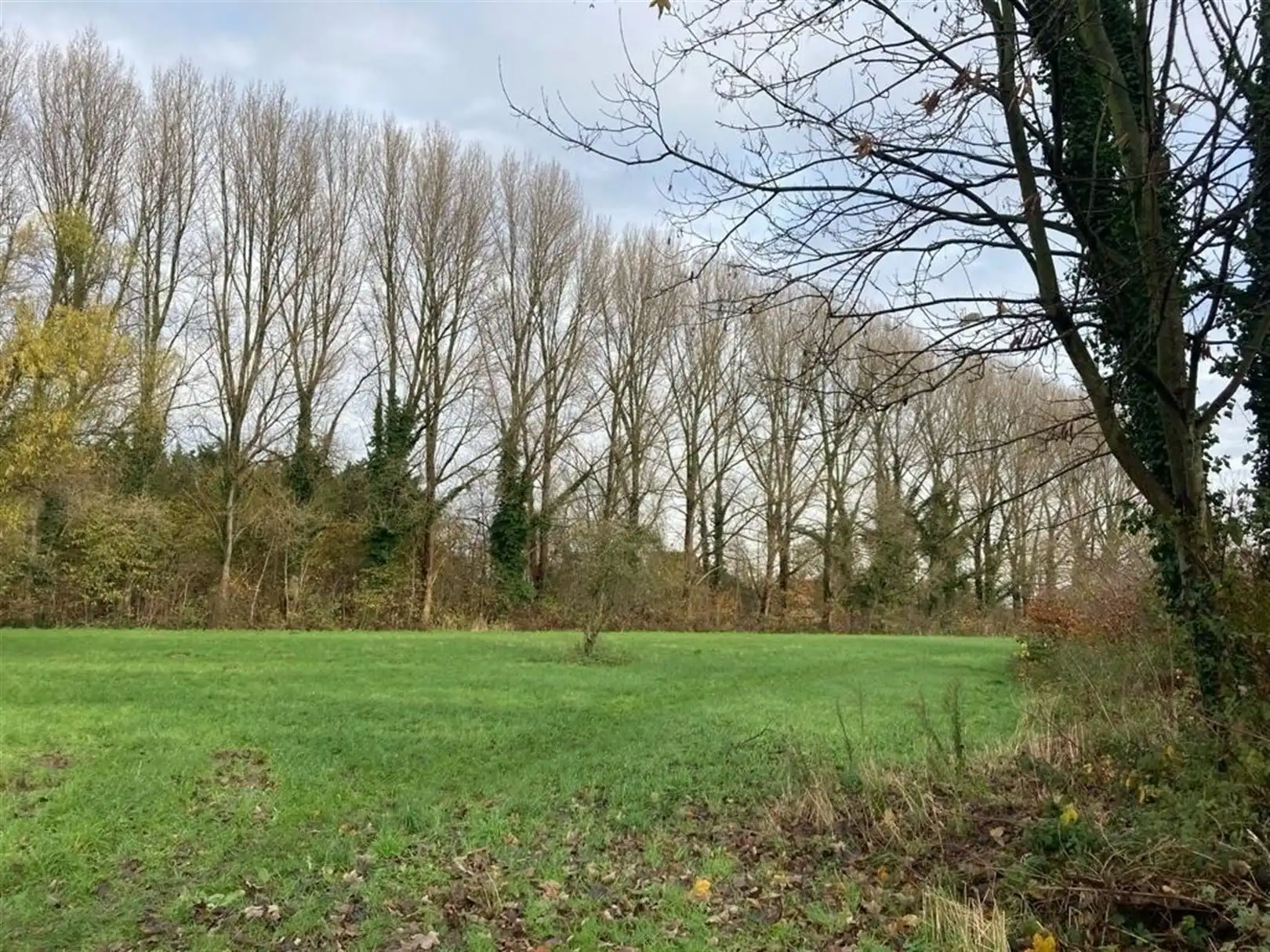 Half open woning bij Edison wijk foto 11