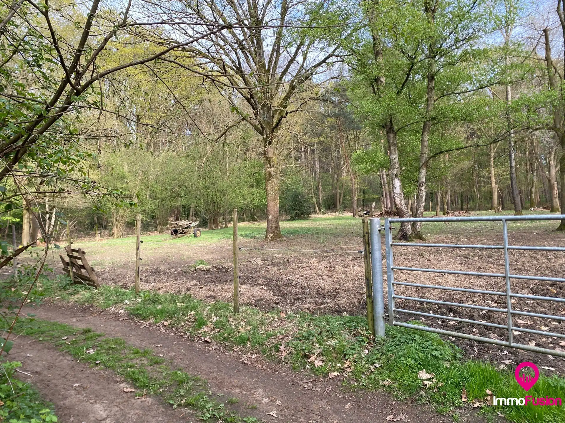Ideale weide voor dierenliefhebbers in landelijke omgeving foto 4