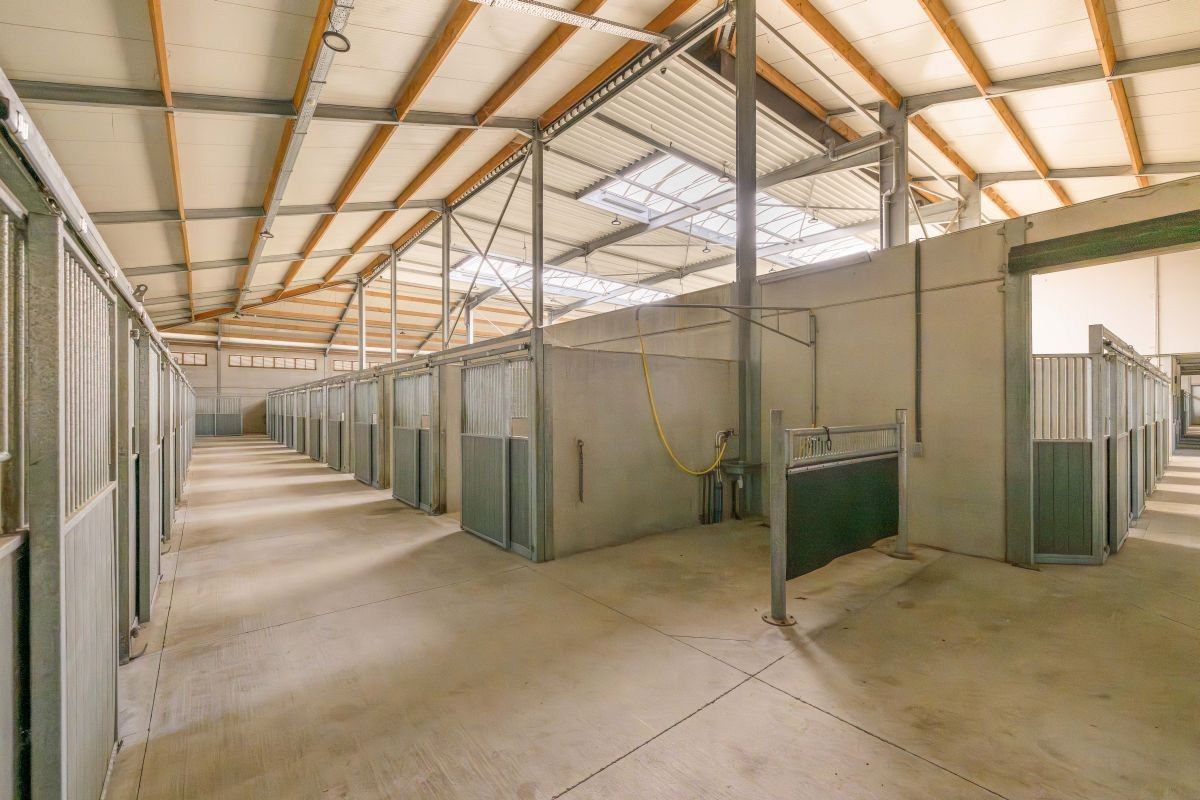 Hippisch complex te koop te Oudenburg dicht bij de kust foto 14