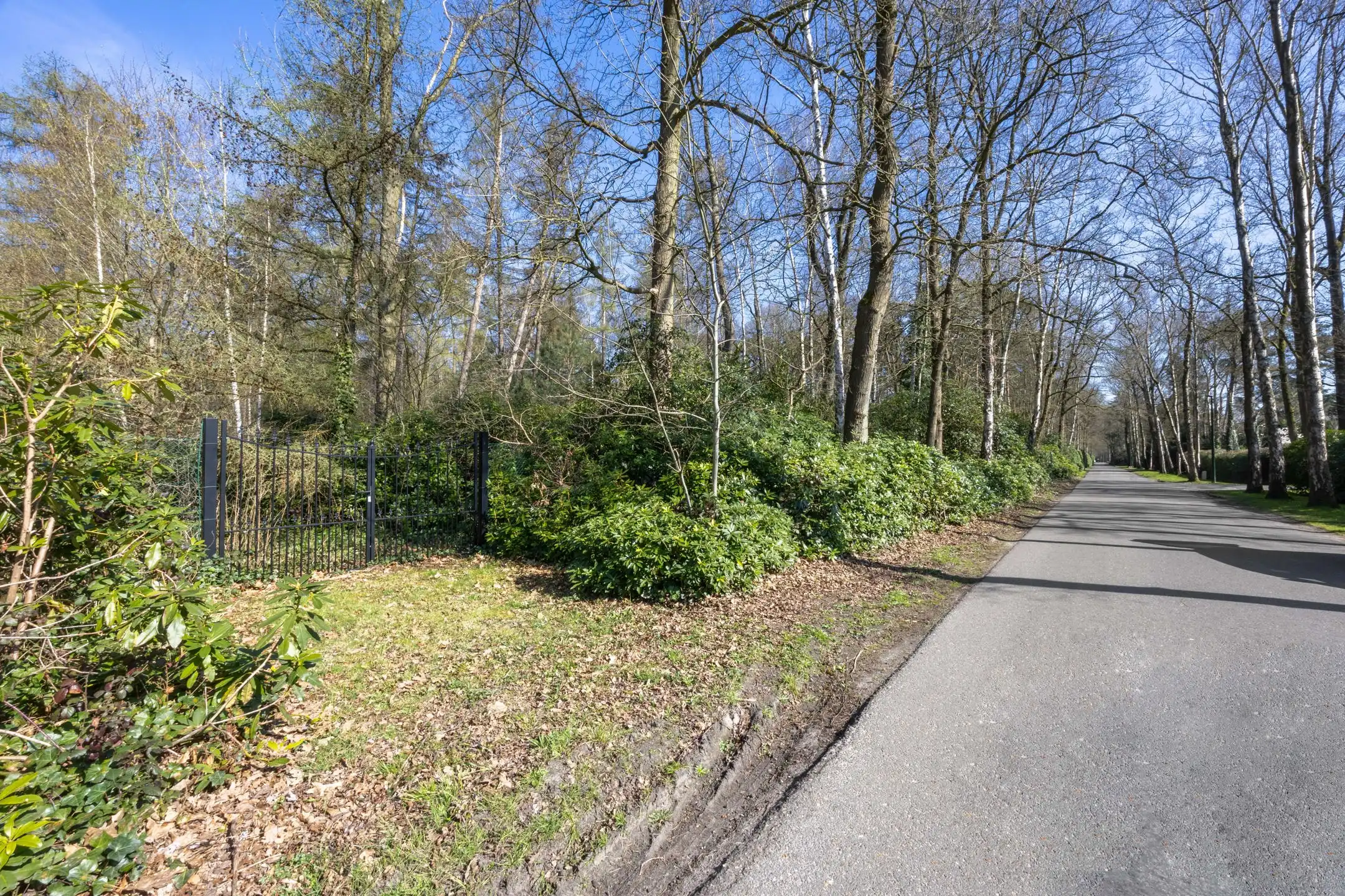 Uitzonderlijke bouwgrond in Hof ter Linden! foto 4