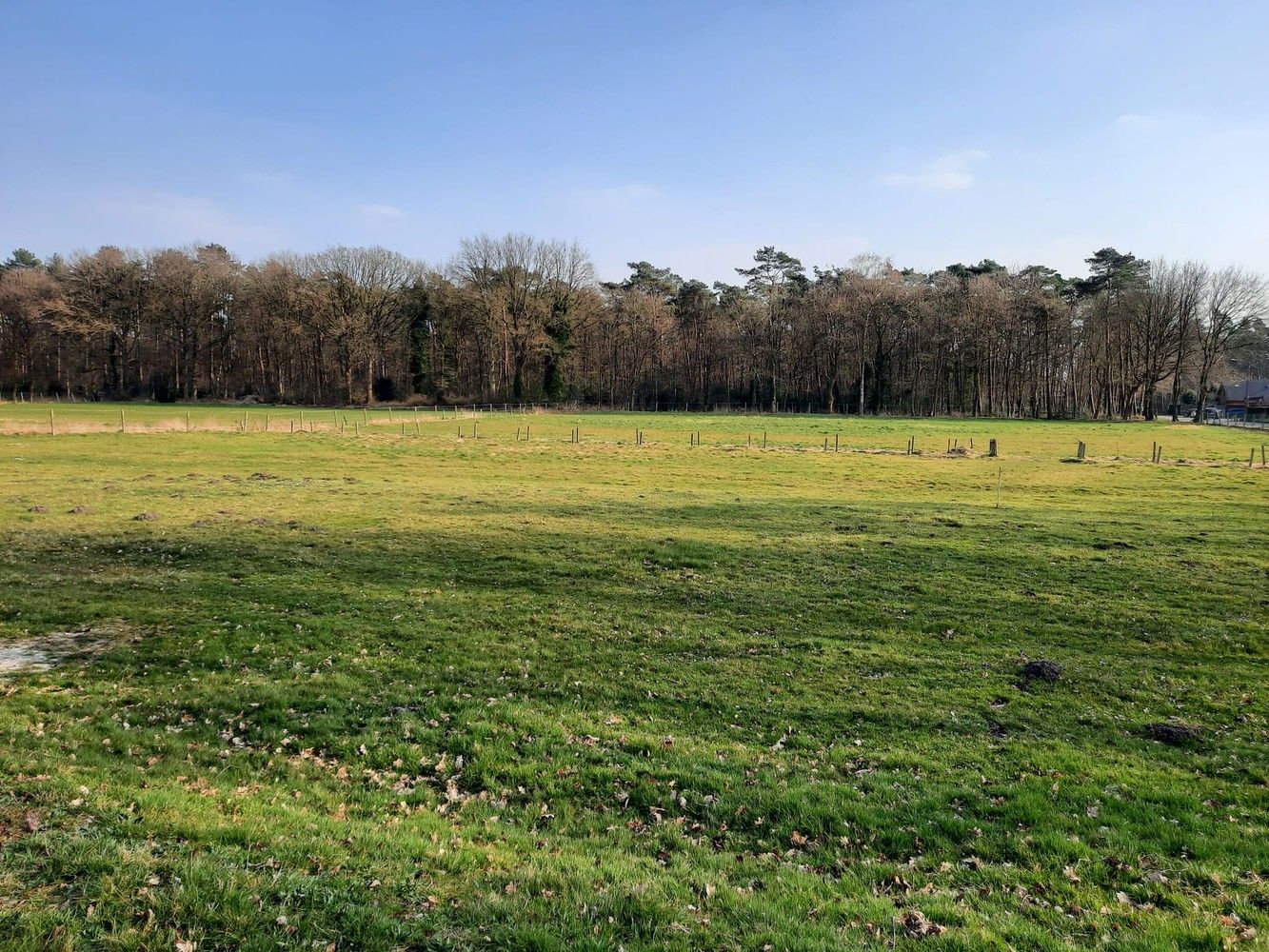 Mooie omheinde weide met schuilstallen te Helchteren foto {{pictureIndex}}