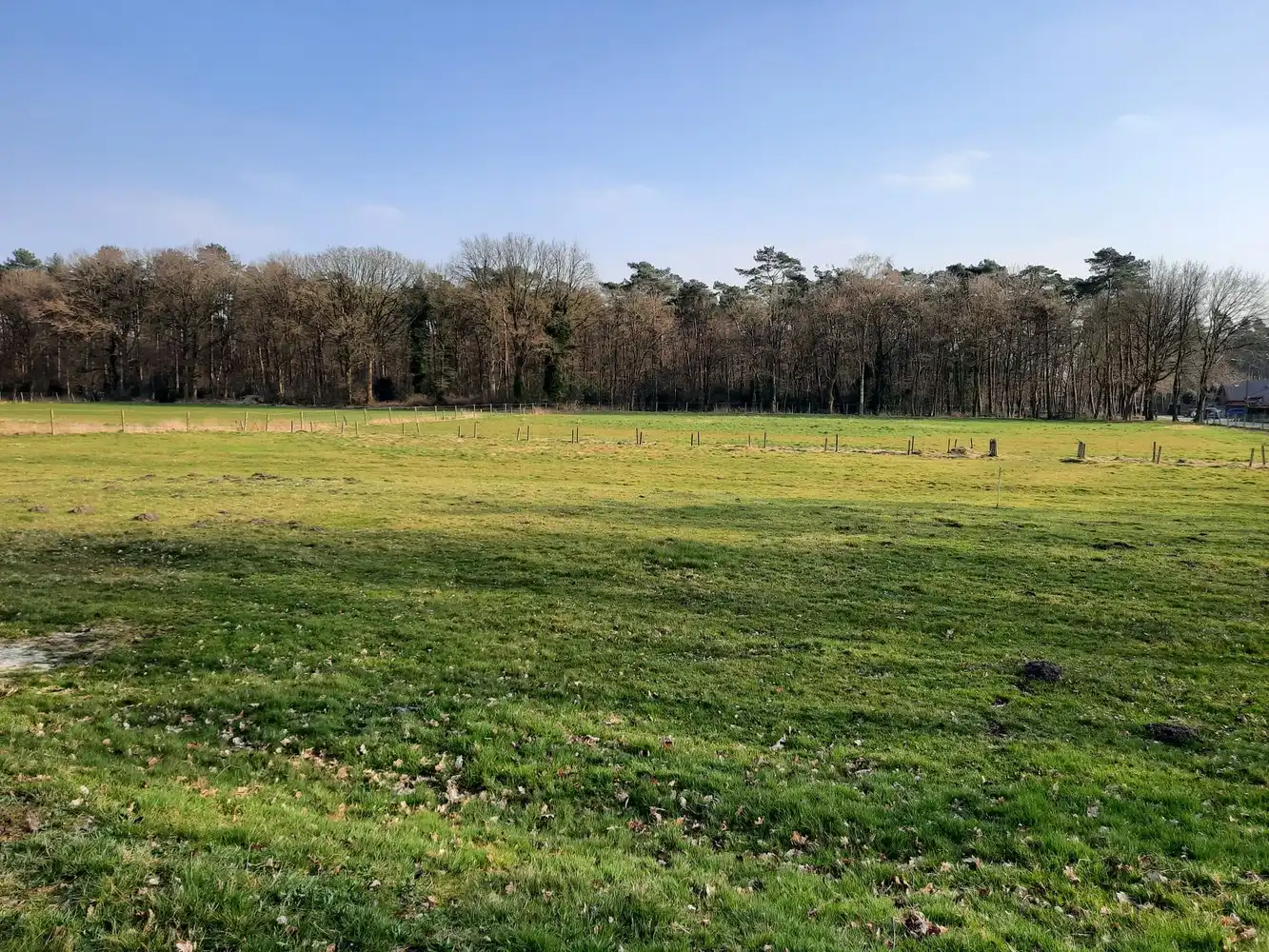 Mooie omheinde weide met schuilstallen te Helchteren foto {{pictureIndex}}