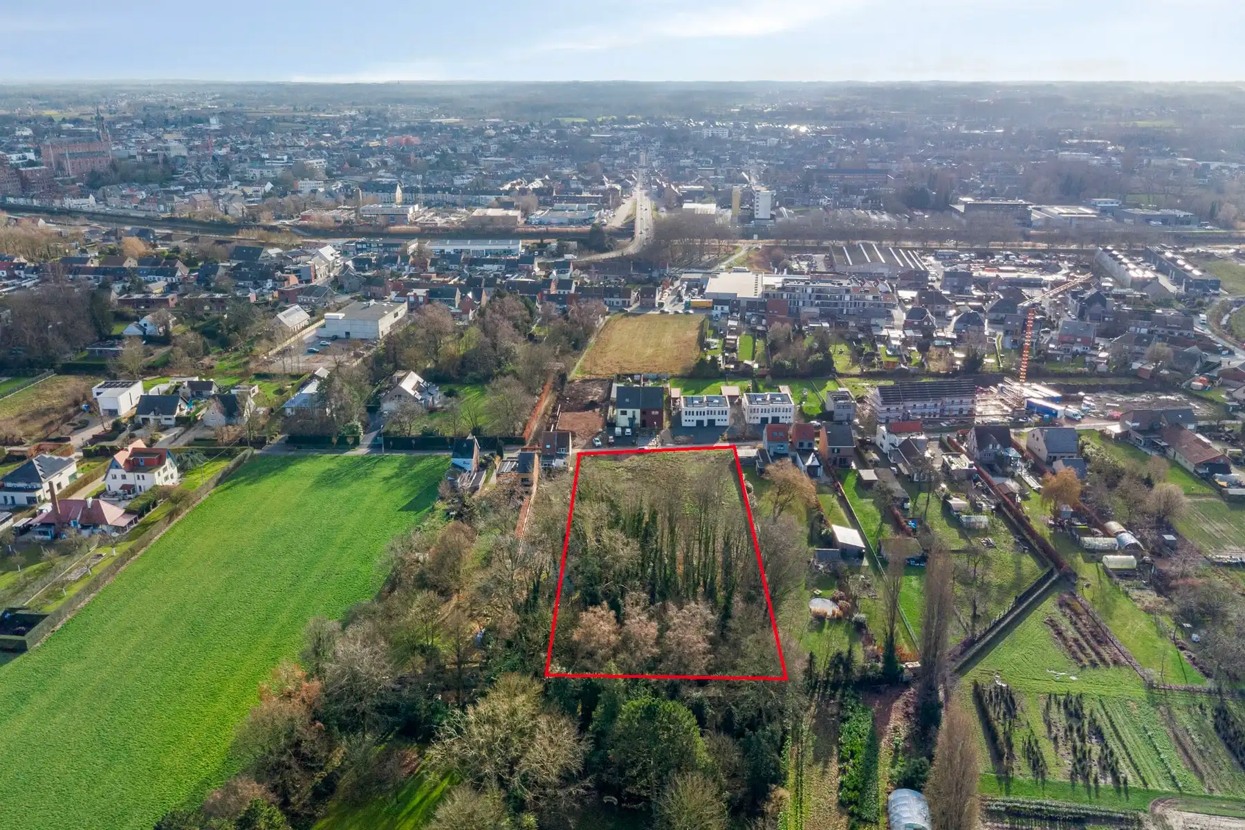 TE KOOP - bouwgrond halfopen bebouwing met stuk bos op 1270m² foto 4