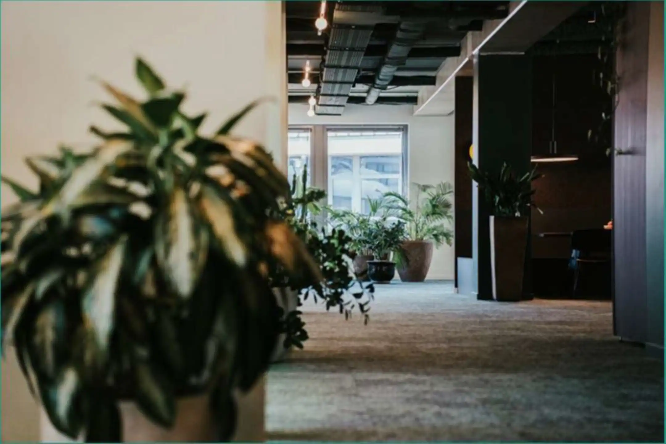 Kantoren te huur CAMPUS 1  GREENLAND foto 5