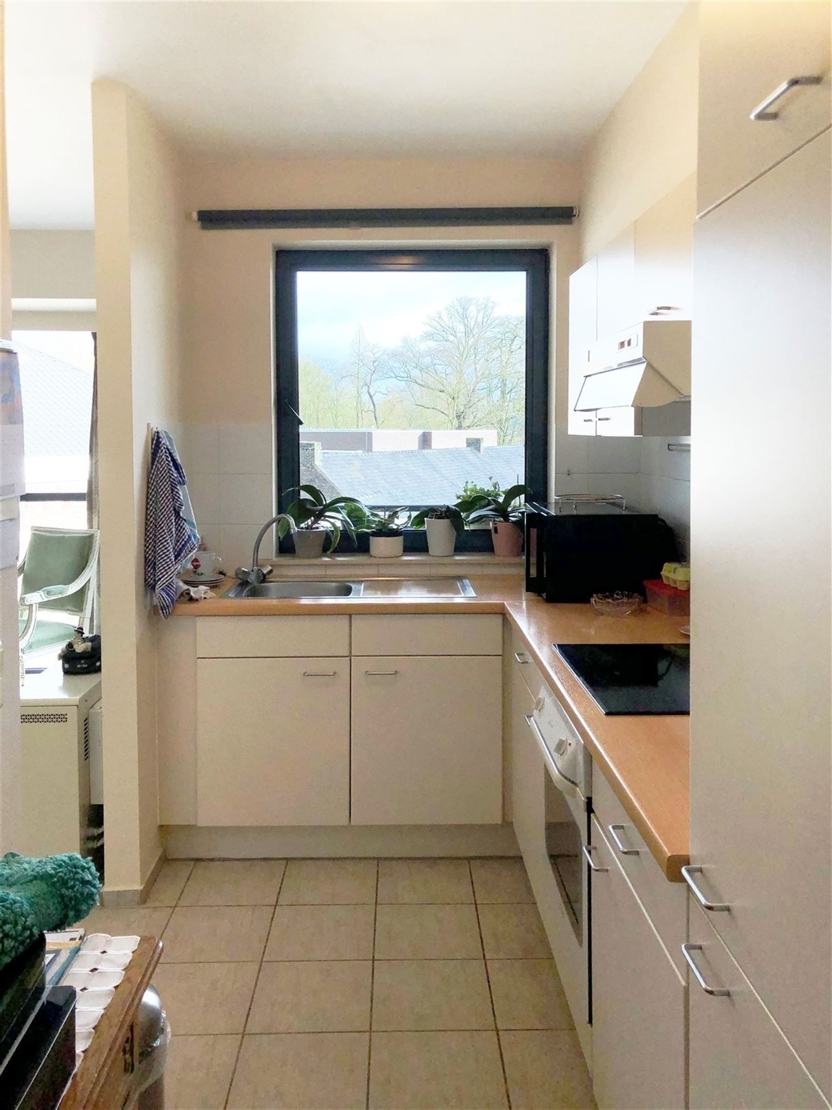Appartement te huur in centrum Oudenaarde foto 8
