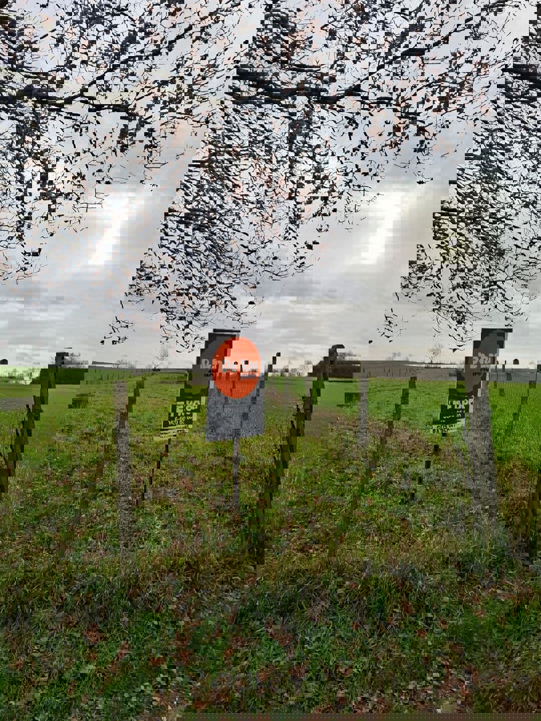 DENDERHOUTEM– Perceel weiland van 29a 50ca foto 10