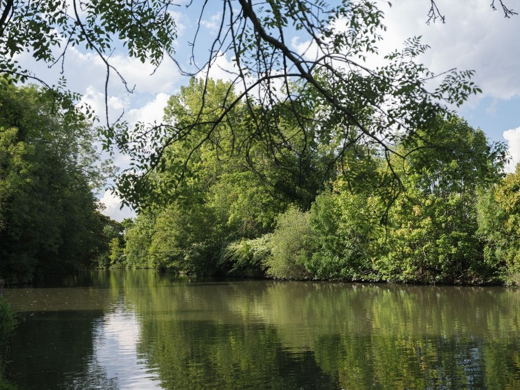 Vrijstaande villa (te renoveren) op slechts 50 meter van de Leie foto 10